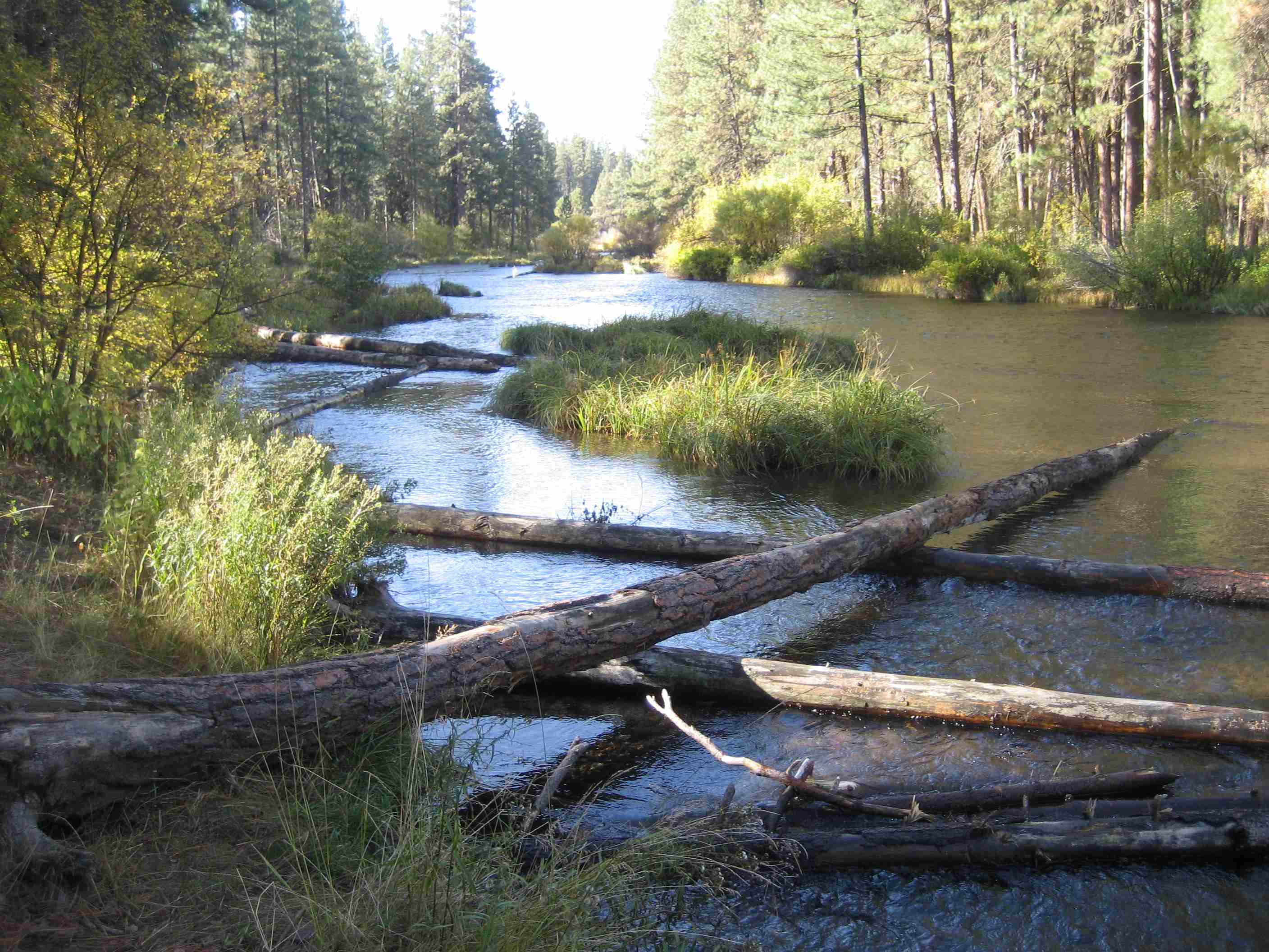 Metolius Watershed