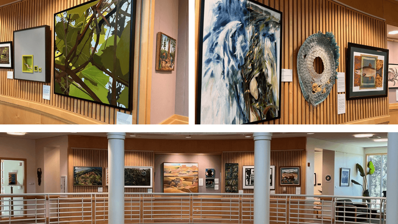 Collage view of the rotunda gallery. Shows paintings, weaving, and a wide shot of the gallery with no art in focus..