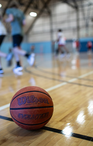 Picture of a Basketball