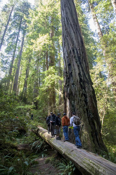 Forestry - Central Oregon Community College